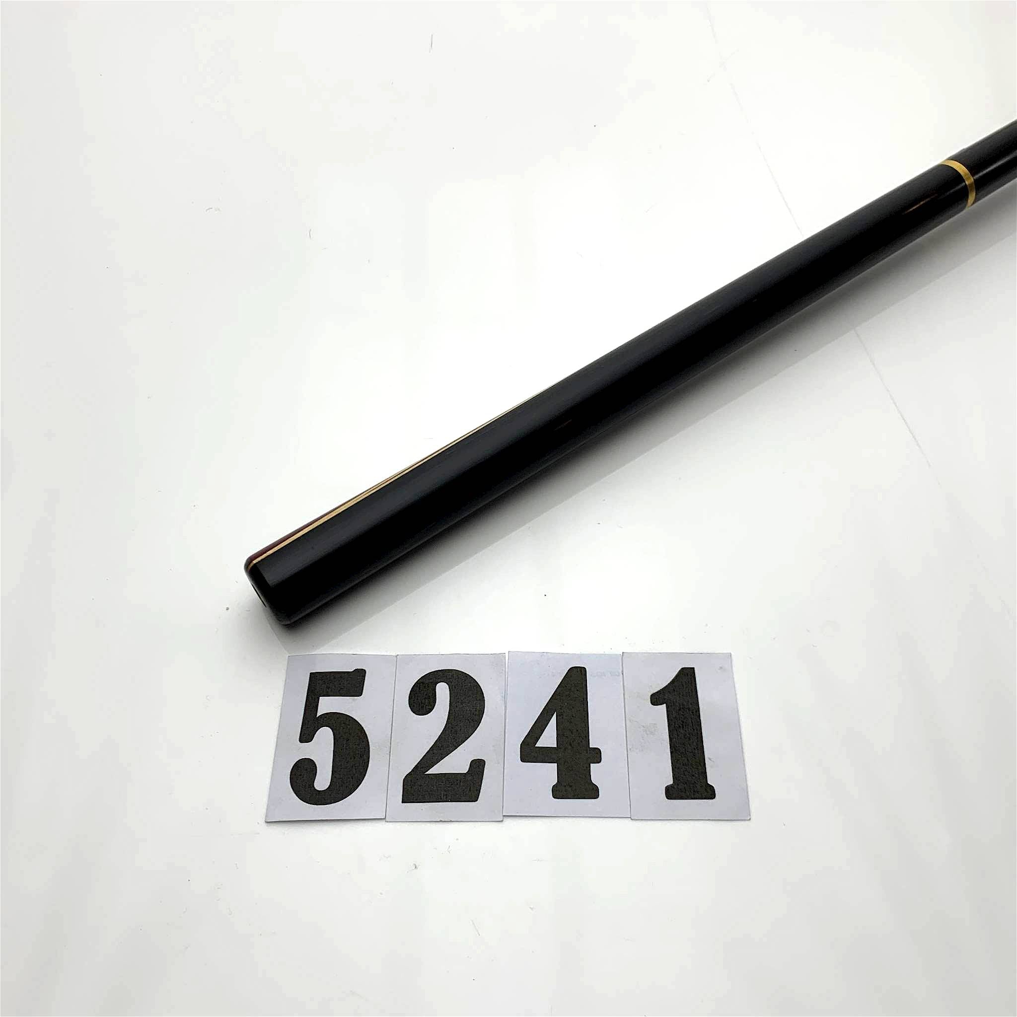 Master | Professional | 5241